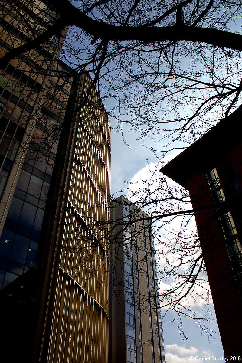 Towers in Brindleyplace
